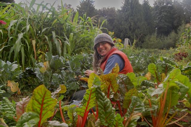 Jenny harvesting in the garden
